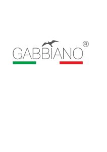 gabbiano